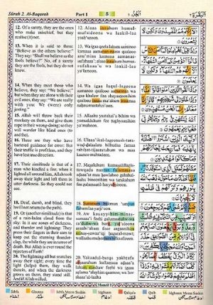 Qur'an Tajweed A/E/R Rainbow Color Coded, with Box Rehal