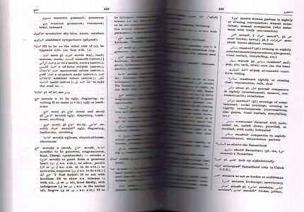 Arabic-English Dictionary: The Hans Wehr (4th Ed.)