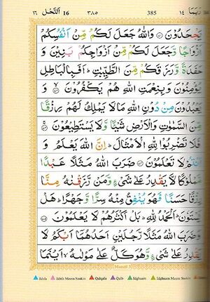 Holy Quran: Color Coded Tajweed Rules and Manzils (Medium)